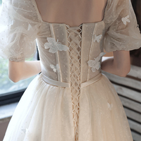 Champagne tulle long prom dress A line evening dress - Thumbnail 5