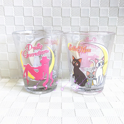 Sailormoon Glass Mug