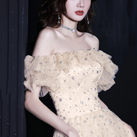 Champagne tulle sequins long prom dress evening dress - Thumbnail 3