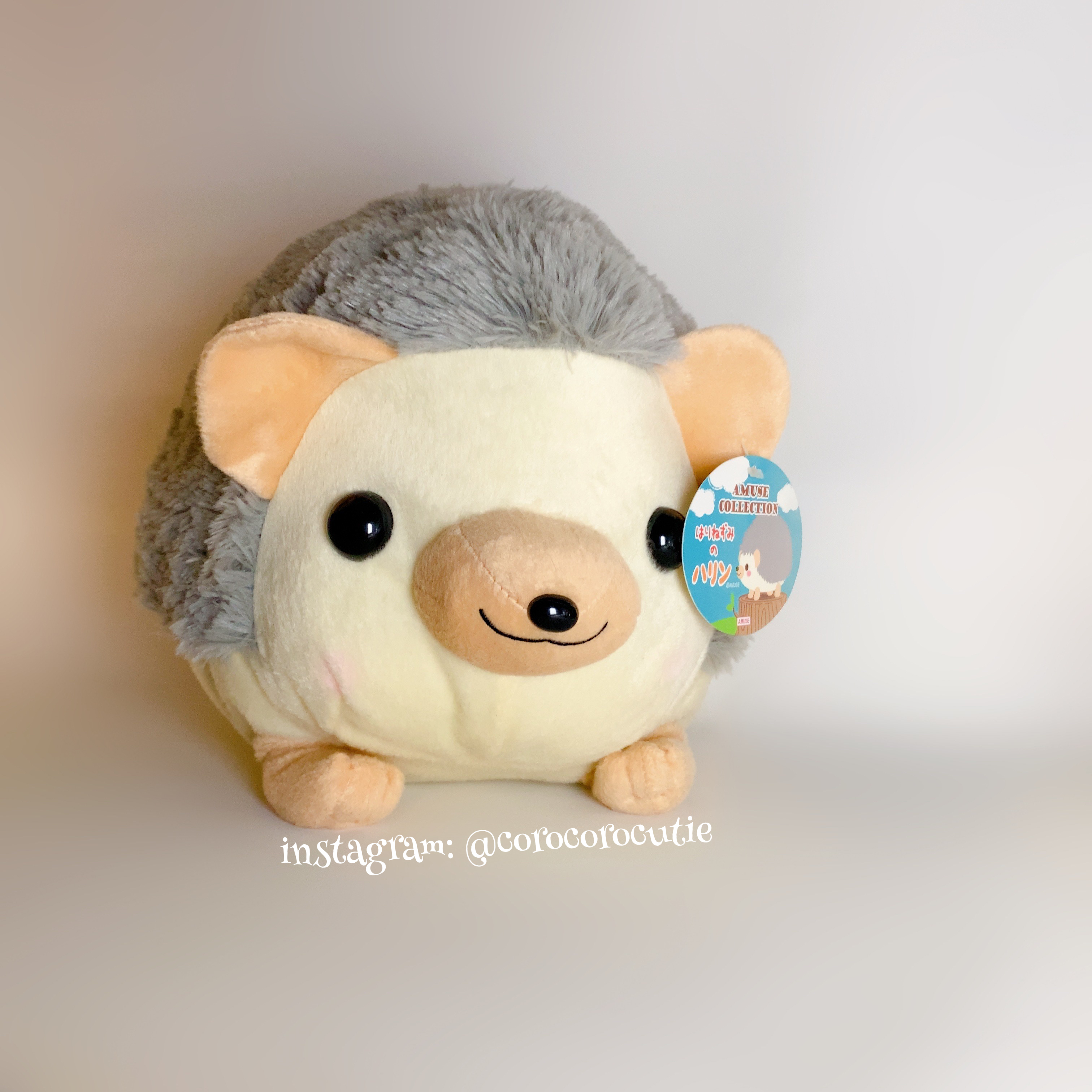 Kawaii Amuse Society Japan Big Hedgehog Plush sold by Corocorocutie on Storenvy Kawaii Amuse Society Japan Big Hedgehog Plush sold by Corocorocutie on Storenvy