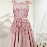 A-Line/Princess Sleeveless Tulle Lace Beading Prom Dresses,317 - Thumbnail 1