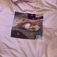 Cute Pink Funny Cat Kitten Meme Cartoon Print Loose Short Sleeve Short T-shirt Tee Top Summer Casual E-Girl Kawaii Korean Japanese Harajuku Streetwear - Thumbnail 9