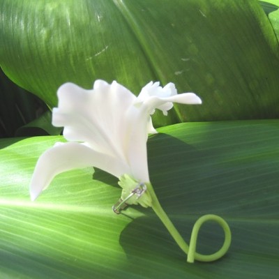 "white with yellow" orchid corsage/boutonniere!