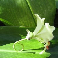 GREEN CATTLEYA ORCHID CORSAGE/BOUTONNIERE! - Thumbnail 1