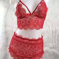 Deep V-Neck Sexy Lace Lingerie Set - Thumbnail 4