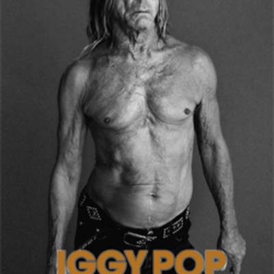 Iggy pop live at lyon, france 07.17.2015 dvd