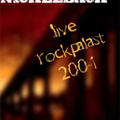 Nickelback rock am ring festival 2004 dvd
