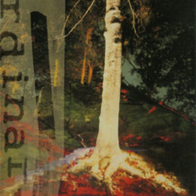 Duran duran live on the sunset dvd