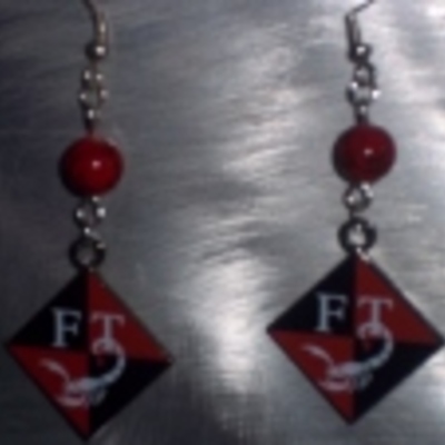 French hook crest earrings