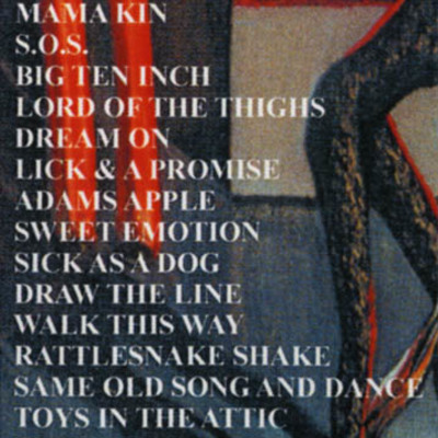 Aerosmith houston 1977 dvd