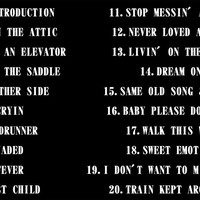 AEROSMITH SUNRISE,FLORIDA APRIL 3.2004 DVD - Thumbnail 1