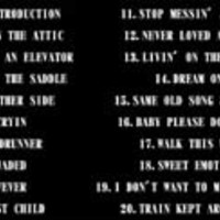 AEROSMITH SUNRISE,FLORIDA APRIL 3.2004 DVD - Thumbnail 2