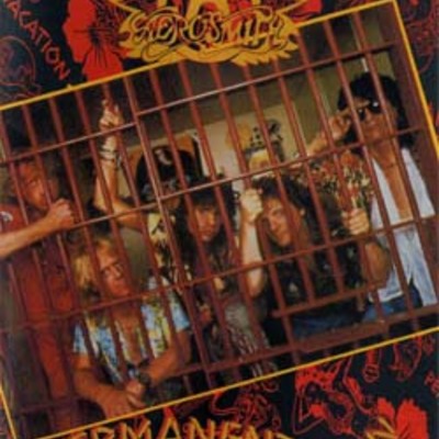 Aerosmith permanent live vacation in houston 1988 dvd