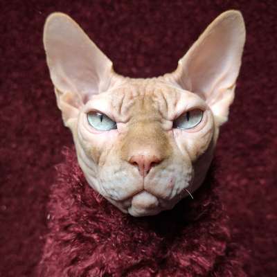 Yargeyr's game of thrones