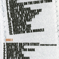 BRUCE SPRINGSTEEN RISING IN TAMPA 11.24.2002 DVD - Thumbnail 1