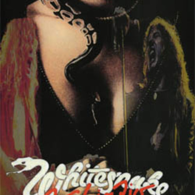 Whitesnake rock in rio dvd