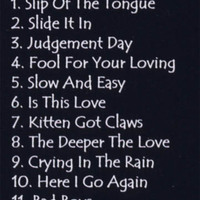 WHITESNAKE ALBANY '90 DVD - Thumbnail 1