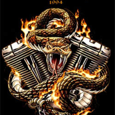 Whitesnaske live in st. petersburg 06.20.1994 dvd