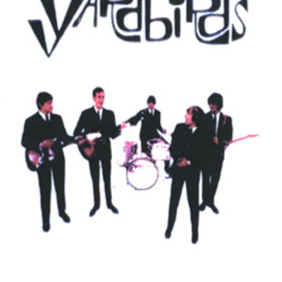 Yardbirds video anthology fan club ed-jimmypage-clapton dvd