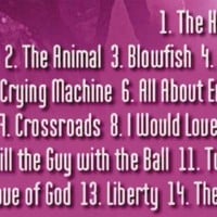 STEVE VAI FIRE GARDEN TOUR SEOUL,KOREA '97 DVD - Thumbnail 1