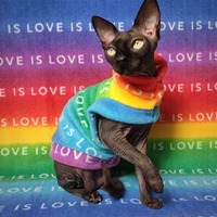 Love Is Love - Thumbnail 1