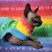 Love Is Love - Thumbnail 2
