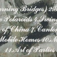 DAVID SYLVIAN TRIPLE DVD SET VOL.3 DVD - Thumbnail 2