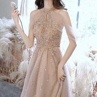 Champagne tulle sequins long A line prom dress evening dress - Thumbnail 3