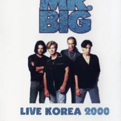 Mr.big seoul,korea 1.20.2000 dvd