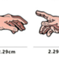 THE CREATION OF ADAM ( Set / 2 pcs ) - Thumbnail 4