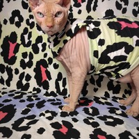 Pink Spots - Thumbnail 1