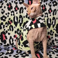 Pink Spots - Thumbnail 2