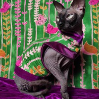 Weeping Willow - Thumbnail 1