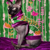 Weeping Willow - Thumbnail 2