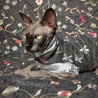 (Nothing But) Flowers - Thumbnail 1