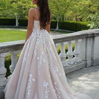 Princess Ball Gown Scoop Neck Cross Back Champagne Prom Birthday Party Dresses - Thumbnail 2