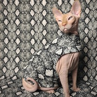 I'm A Snake - Thumbnail 2