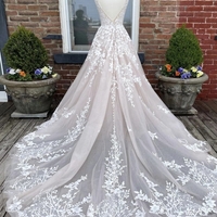 Exquisite A-Line V Neck Champagne Tulle Long Prom Evening Dresses with Appliques - Thumbnail 1