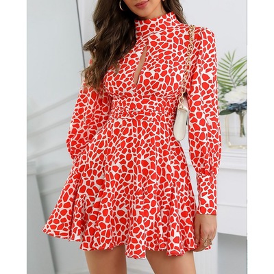Fashion Long-Sleeved Women'S Printed Dress