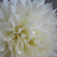 5 Tissue Paper Poms | Rustic Wedding | Bridal Shower | Nursery Decor | Custom Colors - Thumbnail 3