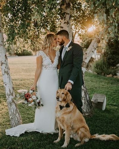 Charming Mermaid Cap Sleeve V Neck Satin Wedding Dresses with Lace