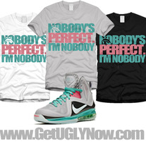 "Nobody's Perfect" Lebron 9 South Beach Colorway