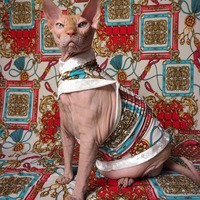 Fashionista - Thumbnail 2