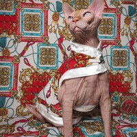 Fashionista - Thumbnail 3