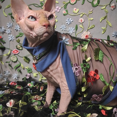 House of swag - periwinkle