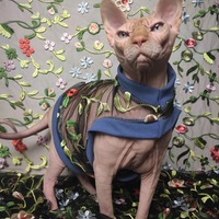 House of Swag - Periwinkle - Thumbnail 1