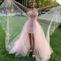 Sweetheart Pink Evening Formal Dress,Tulle Prom Dresses - Thumbnail 1