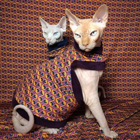 Peacock Swag - Thumbnail 2