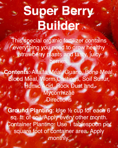 Super Berry Builder-Strawberry Fertilizer