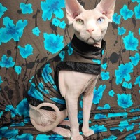 Blue Who? - Thumbnail 1